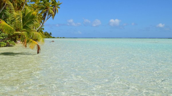 Expérience de camping : Comment améliorer le confort de votre tente