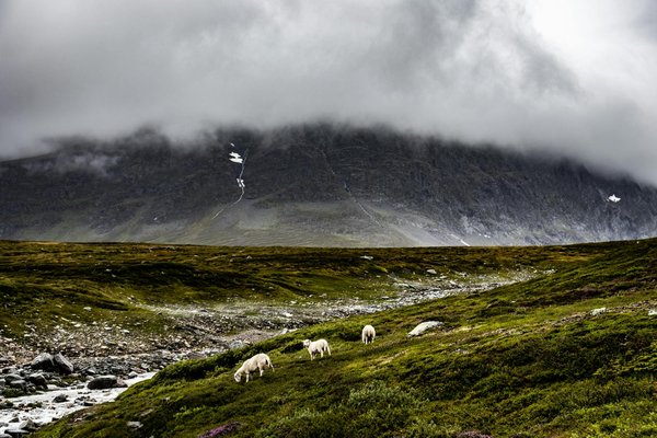 Évadez-vous en mobil-home à argelès-sur-mer : confort et fun