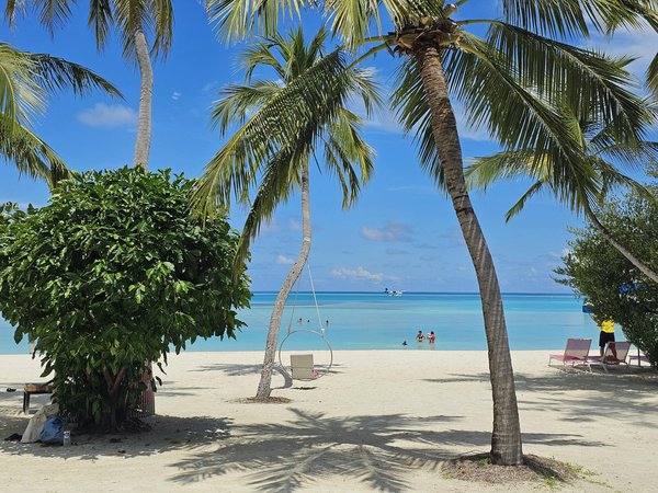 Comment les voyageurs fréquents économisent sur leurs billets de train