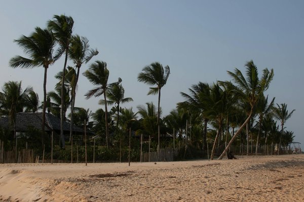 7 expériences de voyage pour les amoureux de la nature